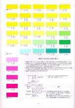 COLOR MATCHING GUIDE P4